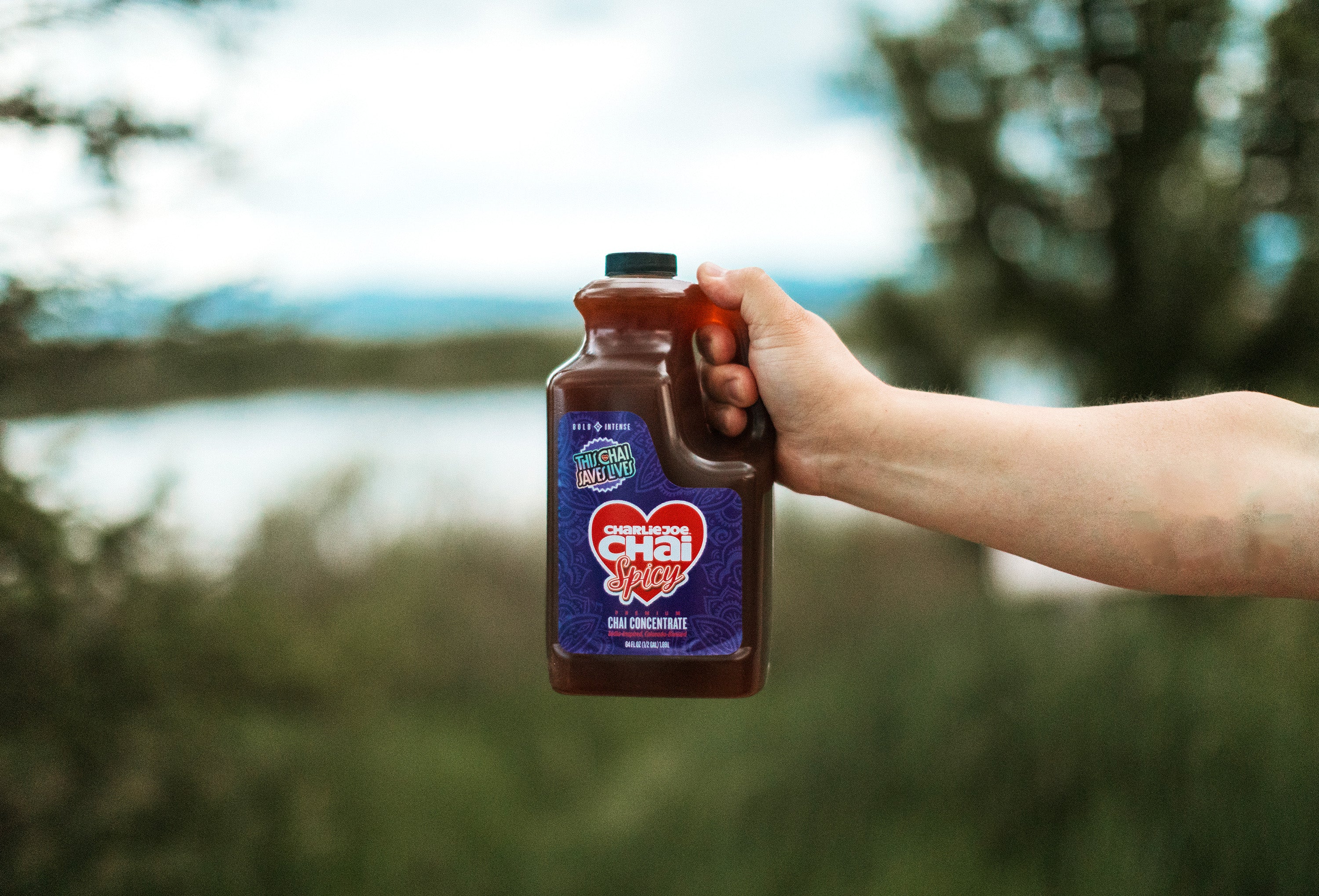 Spicy Case (6 bottles) – CharlieJoe Chai